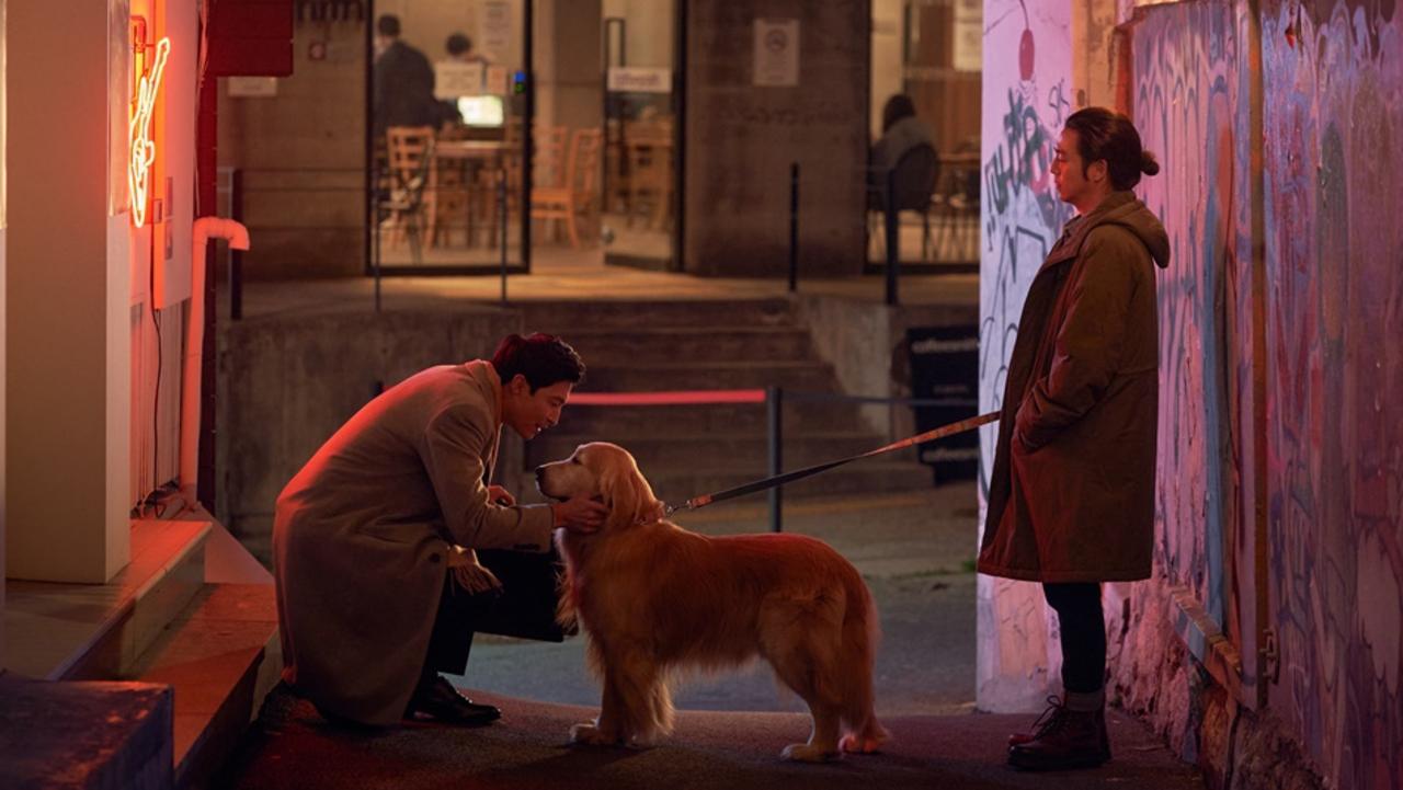 Dog Days is a heart-warming drama starring YOUN Yuh Jung, YOO Hai Jin, and KIM Yunjin. Korean Film Festival in Australia comes to Alice Springs October, 2024. Picture: Supplied