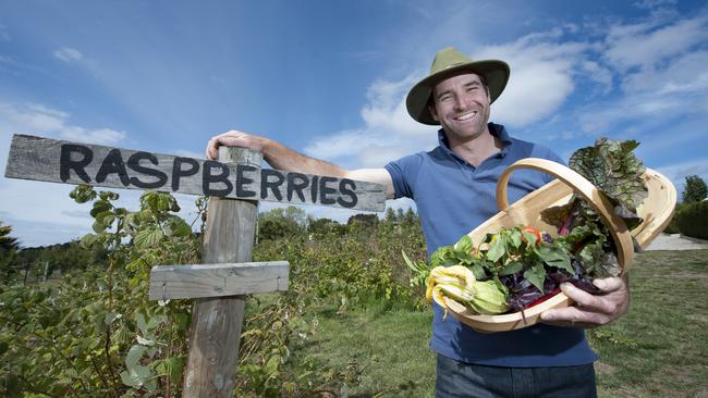 Pick your own produce at Ravens Creek. Picture: Cormac Hanrahan