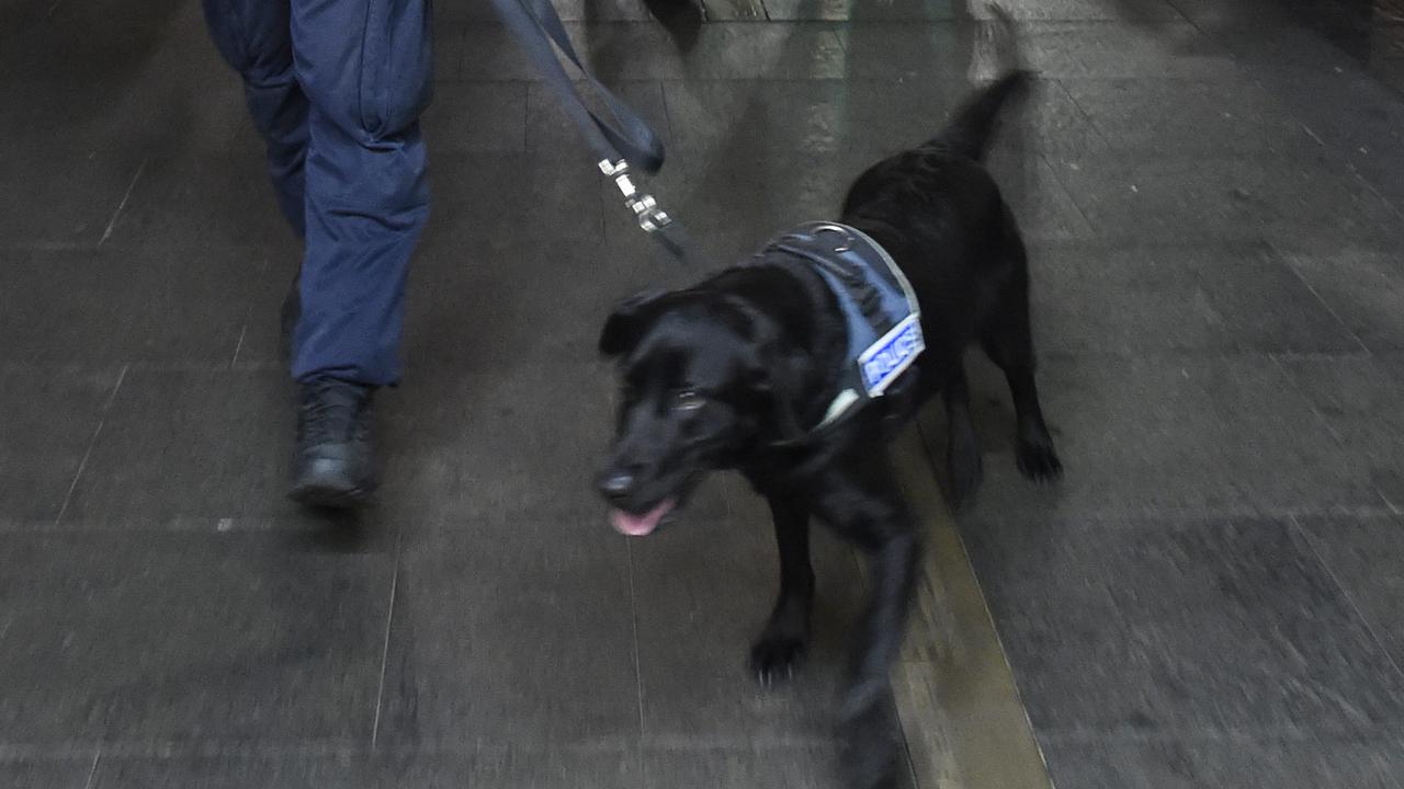 NSW Police: Off-duty officer allegedly caught with cocaine at The Star ...