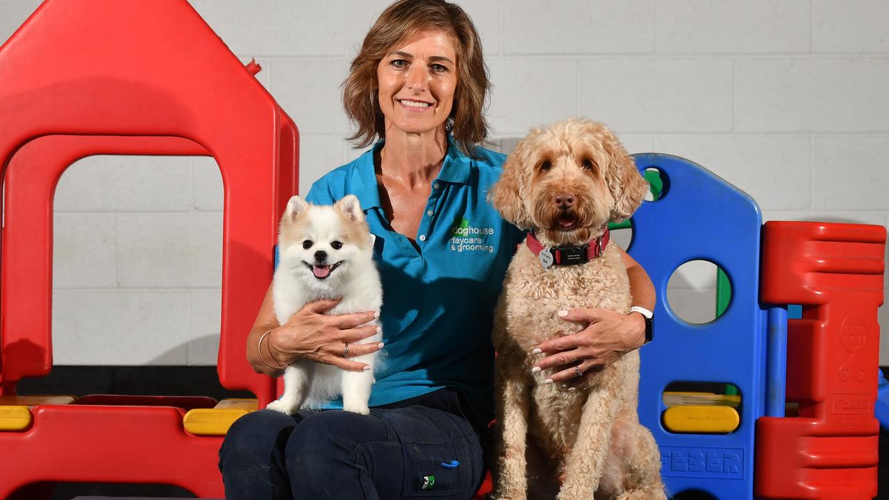 Doggy Daycare Costs Don T Deter Pet Loving Consumers News Com Au   A14e26dcfc4e9c2596b1ca430cefbb75