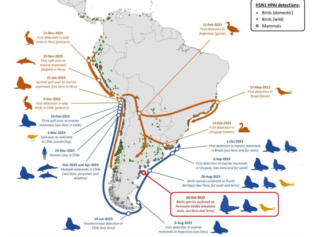 This map shows pathways of the spread of H5N1 HPAI (2.3.4.4b) in South America from 2022–2023. Picture: UC Davis