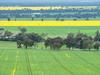 How easy is it to lease farmland in today’s market?