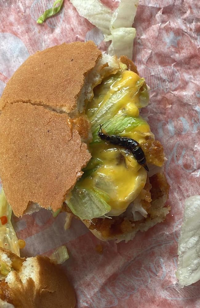 Sophia Mauboy posted photos of a "full insect" she claims was in her Hungry Jack's burger from Darwin's Casuarina store. Picture: Facebook/ Sophia Mauboy