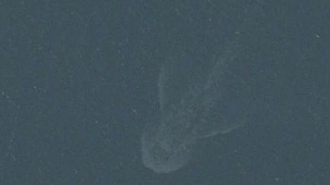 A boat, or something else? ... the image from Apple Maps.