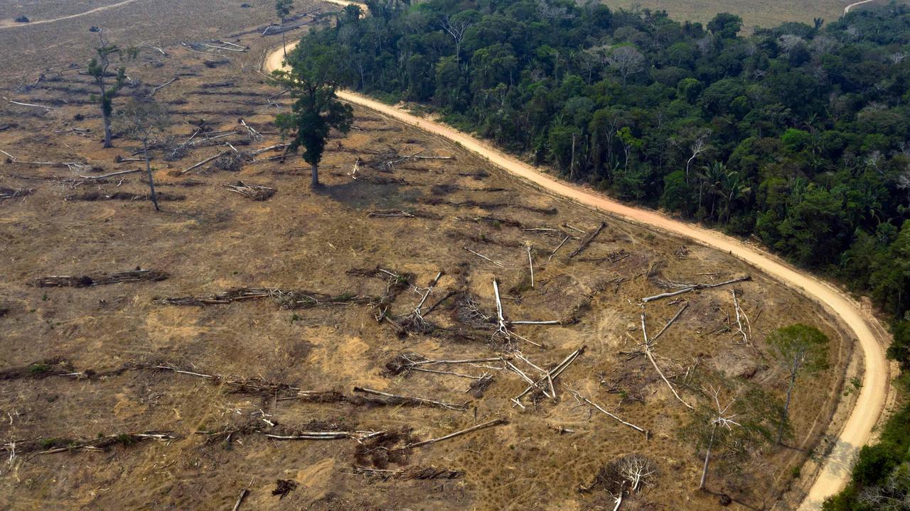 The combination of climate change and steady deforestation means the Amazon rainforest is losing its ability to recover and could permanently turn into savanna. Picture: Carlos Fabal/AFP