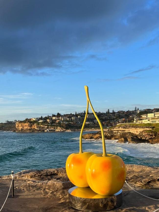The 27-year-old UK singer did the Bondi to Bronte coastal walk, stopping to admire the Sculptures by the Sea. Picture: Instagram
