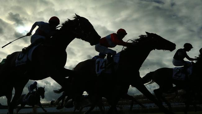 Riders and horses compete at Royal Randwick Racecourse on December 12. Picture: Getty Images