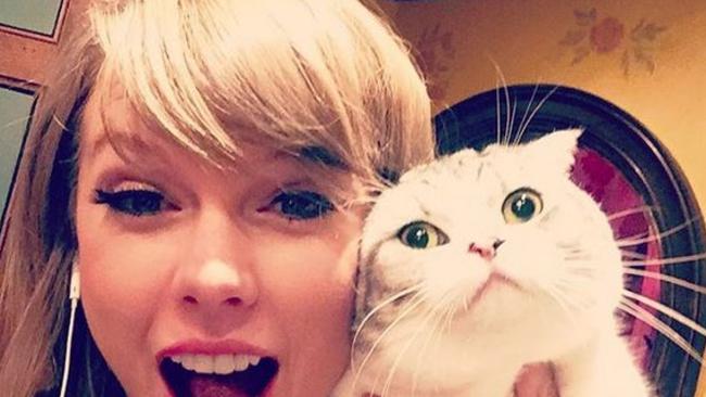 Taylor Swift and her cat Meredith, Picture: Instagram