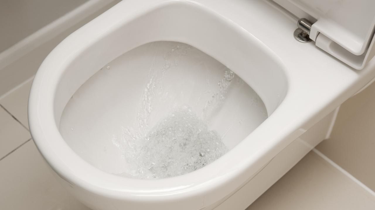 COVID-19 could spread through toilet flushing, Medical Journal of ...