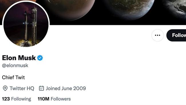 Elon Musk changed his Twitter bio to say “Chief Twit.” Picture: Twitter / @elonmusk