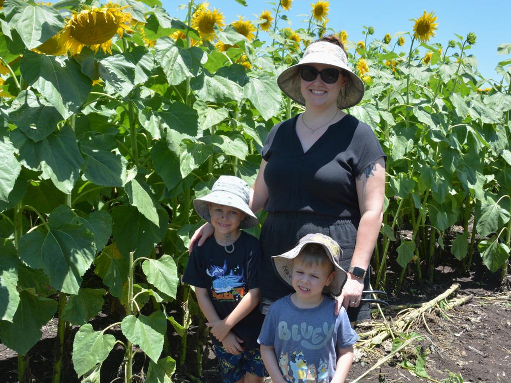 Lilyvale Flower Farm's impressive sunflower crop saw dozens flock to the sunny fields, including (from left) Darcy, Emily and Beau Keable on Sunday, December 22, 2024. Photo: Jessica Klein