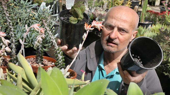 Milton Vadoulis at his 60-year-old garden centre at Evanston Gardens that he is closing down because running a business now is simply “too hard”. Picture: Dean Martin