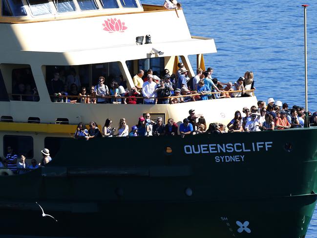 The Queenscliff arrives in Manly Cove with hundreds of tourists on board. Photo essay on SydneyÕs, Manly ferries. Harbour City Ferries has four freshwater class vessels, consisting of Queelscliff, Narrabeen, Collaroy and Freshwater. Sydney Harbour, ferry. Picture; Bradley Hunter