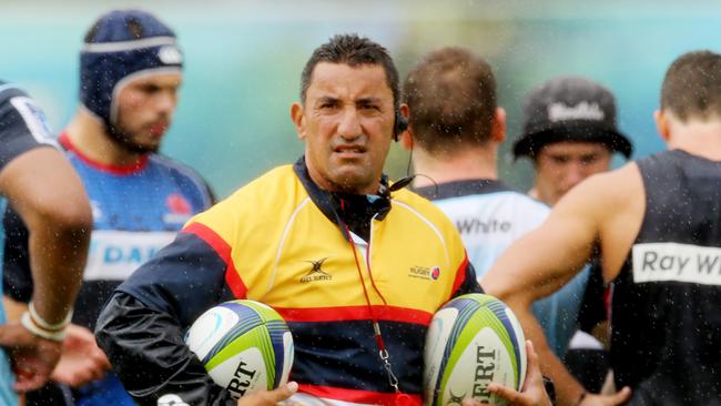Daryl Gibson, Coach of the Waratahs , during Waratahs training at Moore Park. pic Mark Evans