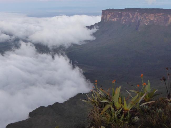 Roraima is a famous -and stunning — mountain in Venezuela. Picture: Will Hatton