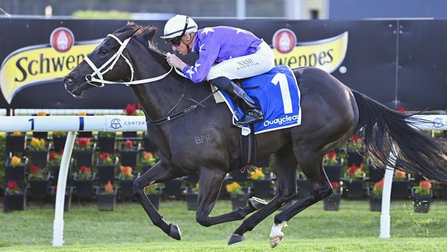 Vanessi can make it back-to-back wins when she heads to Randwick. Picture: Bradley Photos