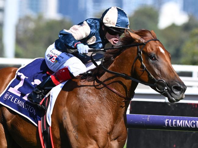 MELBOURNE, AUSTRALIA - FEBRUARY 17: Craig Williams riding Jimmysstar before finishing runner up in Race 9, the The Elms Handicap, during Melbourne Racing at Flemington Racecourse on February 17, 2024 in Melbourne, Australia. (Photo by Vince Caligiuri/Getty Images)