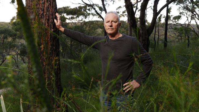 Former Fire and Rescue NSW commissioner Greg Mullins in bushland at Cromer. Picture: Richard Dobson