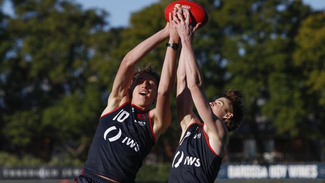 Jay Polkinghorne (left) and Ned Bowman jostle for a mark at Norwood training. Picture: Brett Hartwig