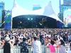 Festivals must fix problem or shut down