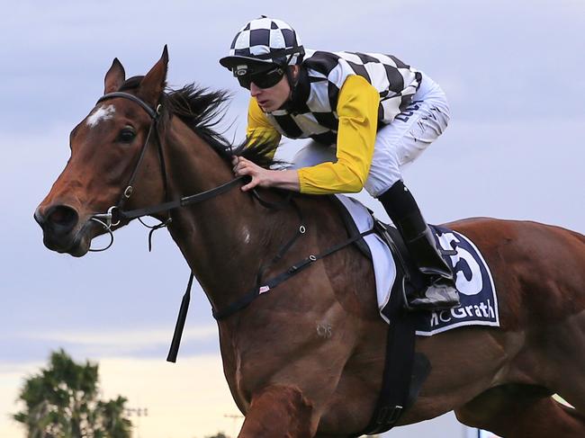 Shahrazad ridden by Koby Jennings wins race 5  during Canterbury midweek races. pic Mark Evans