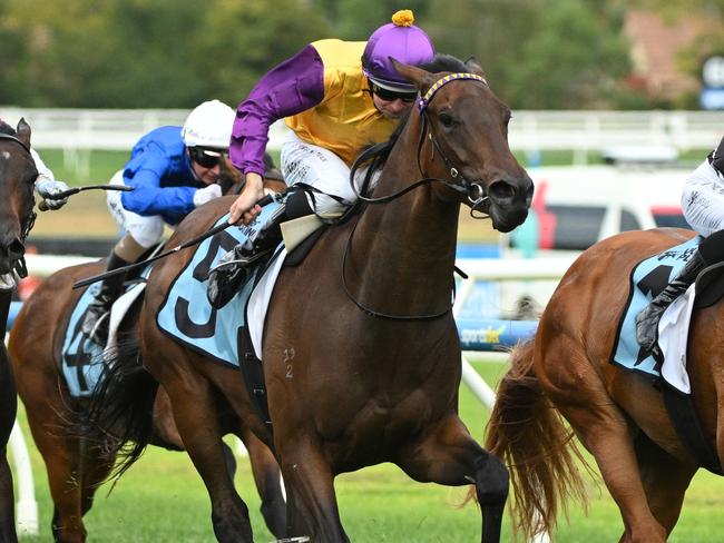 MELBOURNE, AUSTRALIA - MARCH 15: Damian Lane riding McGaw defeats Befuddle in Race 8, the The Tbv Vobis Platinum Showdown during Melbourne Racing at Caulfield Racecourse on March 15, 2025 in Melbourne, Australia. (Photo by Vince Caligiuri/Getty Images)