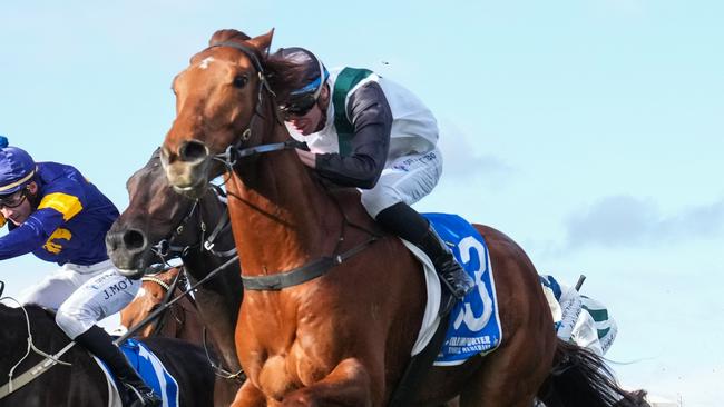 Rise At Dawn will back up in Saturday's Stradbroke Handicap. Photo: George Sal/Getty Images.