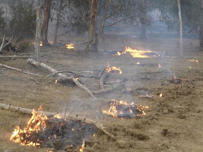 29/02/2024   Bayindeen-Rocky Road fire., aircraft, containment line construction, backburning and fire at night.  picture: Ballarat ICC