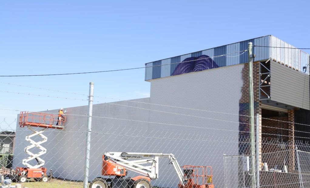 GONE: A mural of Australian icon Steve Irwin, painted in 2015 by American artist Mark Paul Deren, has been painted over to make way for a new development. Picture: Tom Gillespie