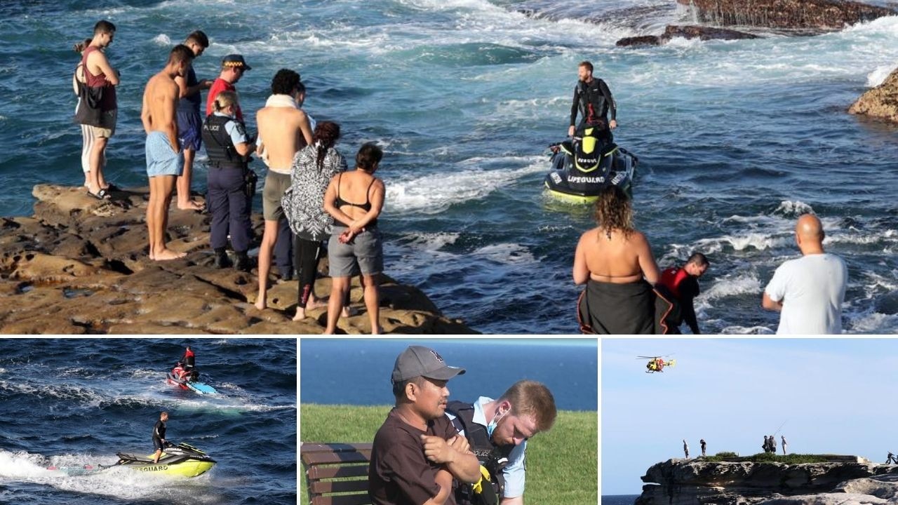 Swimmer killed in Little Bay shark attack, beaches closed | Herald Sun