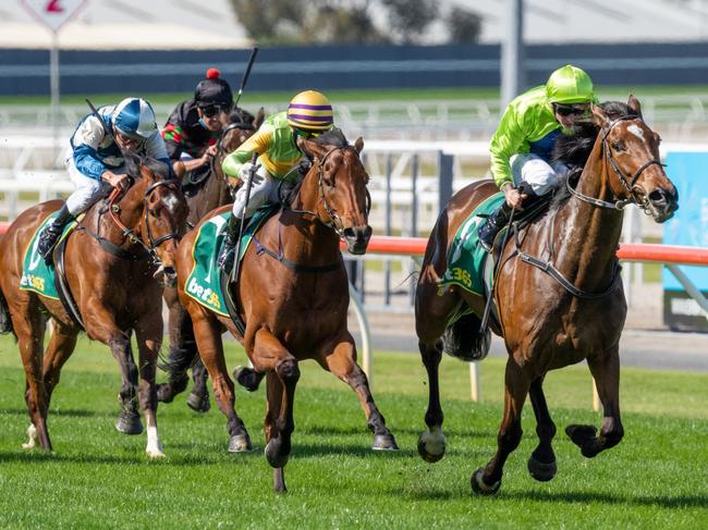 Tralee Rose (NZ) ridden by Dean Holland wins the bet365 Geelong Cup at Geelong Racecourse on October 20, 2021 in Geelong, Australia. (Jay Town/Racing Photos via Getty Images)