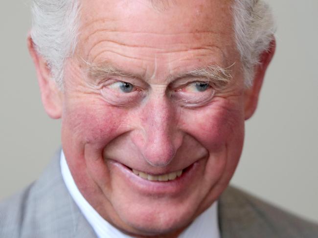 ENNISKERRY, IRELAND - MAY 20:   Prince Charles, Prince of Wales smiles as he attends The Cool Planet Experience at the Powerscourt House and Gardens during his visit to the Republic of Ireland on May 20, 2019 in Enniskerry, Ireland. (Photo by Chris Jackson - Pool/Getty Images)