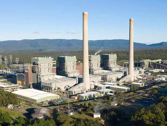 Albo, Bowen in denial on looming energy meltdown