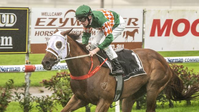 For My Annie ridden by Jake Molloy wins race two at Clifford Park. Saturday, May 14, 2022. Picture: Nev Madsen.