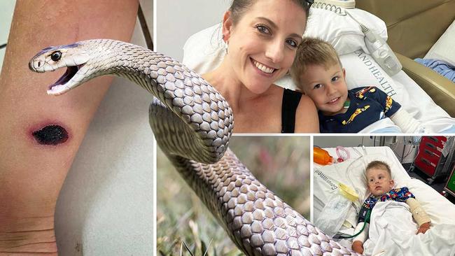 Brogan Iddles said her son Valik was lucky to come home from hospital after he was bitten multiple times by, what was believed to be , a deadly Eastern Brown snake.