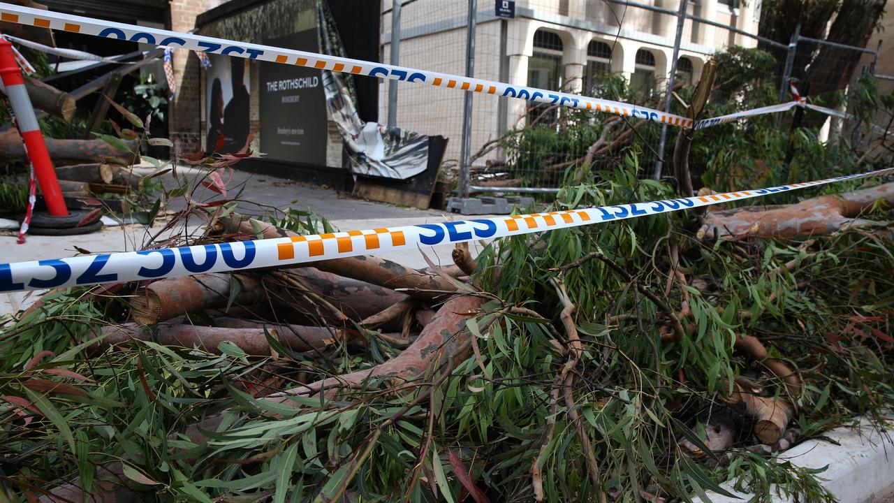 The storm brought down branches and powerlines. Picture: NewsWire/ Gaye Gerard.