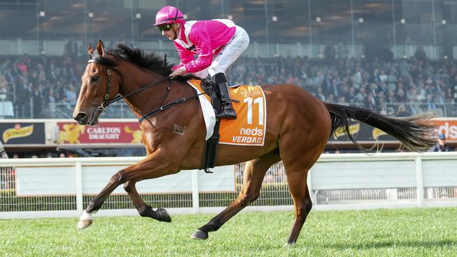 Verdad on the way to the barriers prior his sixth place finish in the Caulfield Guineas. Picture: Scott Barbour / Racing Photos