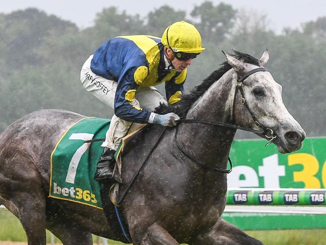 Lighthouse (USA) ridden by Harry Coffey wins the bet365 Mt Macedon Dash BM84 Handicap at Kyneton Racecourse on November 03, 2021 in Kyneton, Australia. (Brett Holburt/Racing Photos via Getty Images)