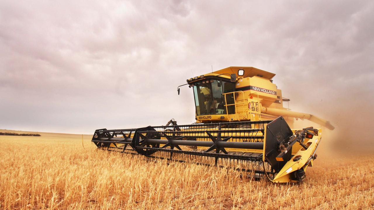 Wheat prices rise as crop shrinks