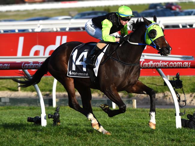 MELBOURNE, AUSTRALIA - AUGUST 27: Katelyn Mallyon riding Great Esteem wins Race 8 during Melbourne Racing at Caulfield Racecourse on August 27, 2016 in Melbourne, Australia. (Photo by Vince Caligiuri/Getty Images) *** Local Caption *** Katelyn Mallyon; Great Esteem