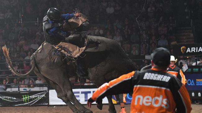 Lachlan Richardson bucked by Cattle King Boogers Beach during the PBR Australia grand finals at the Townsville Entertainment and Convention Centre. Picture: Matthew Elkerton