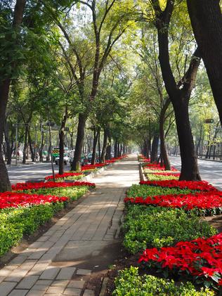 Flowers along Paseo de la Reforma. Picture: Leah McLennan