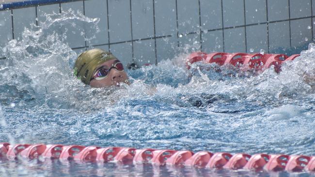 Beef City Swim Meet at 2nd World War Memorial Aquatic Centre, Rockhampton, on October 26, 2024. Photo: Pam McKay
