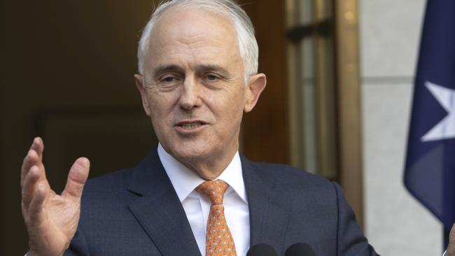 The by-election was caused when Malcolm Turnbull quit politics.