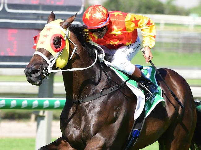 Let's Party Marty after winning at Doomben in December under Bobby El-Issa. Picture: Trackside Photography