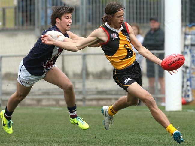 Will Hamill taking a kick for the Dandenong Stingrays in their 2018 premiership season. Picture: Hamish Blair