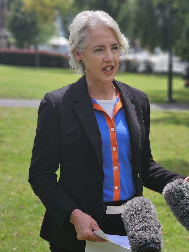 Greens leader Rosalie Woodruff speaks to the media on Parliament Lawns in Hobart on Monday, January 22, 2024.