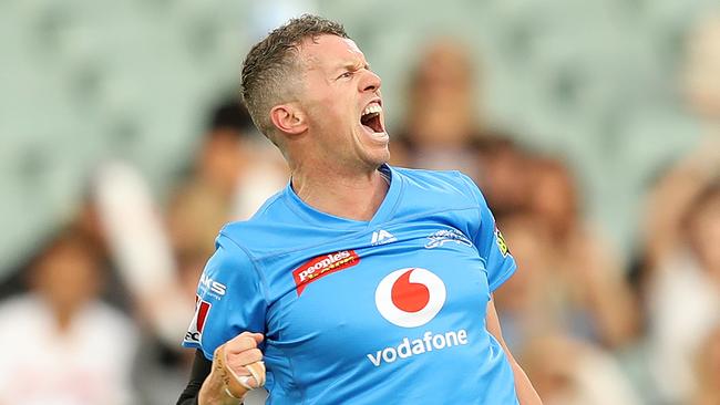 Peter Siddle was one of the leading wicket-takers in BBL09 with 19 scalps.