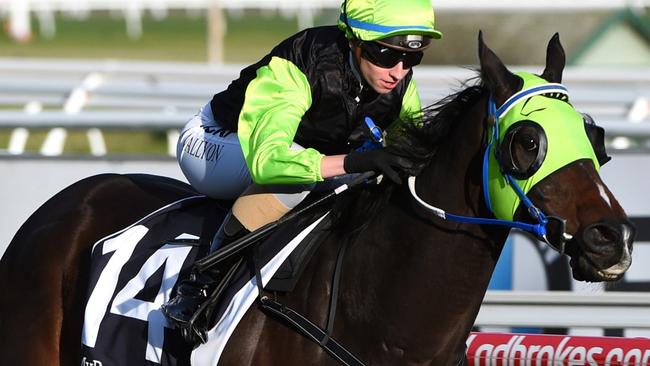 Great Esteem is worth a look in race eight at Caulfield this Saturday.