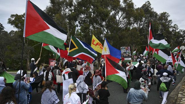 Protesters also voiced their support for South Africa, after the country launched an ICJ case. Picture: NCA NewsWire / Martin Ollman